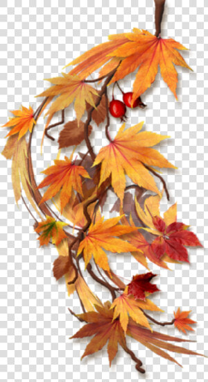 Transparent Fall Leaves Border Clipart   Feuilles D Automne Png  Png Download