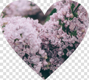 Arancione Orange Heart Overlay Png Edit Tumblr   اللهم إنك عفو كريم تحب العفو فاعف عنا  Transparent Png
