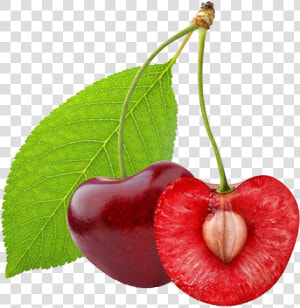 Cherry Png   Cherry Fruit Cut In Half  Transparent Png
