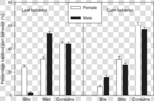 Graph Of How Much Pandas Eat Bamboo  HD Png Download