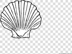 Black And White Seashell Animal Free Black White Clipart   Seashell Black And White  HD Png Download