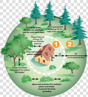 Picture   Defensible Space Wildfire  HD Png Download