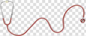 Collections Image Png Heart Stethoscope Best  Transparent Png