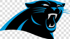All Official National Football League Team Nfl Logos   Carolina Panthers Logo  HD Png Download