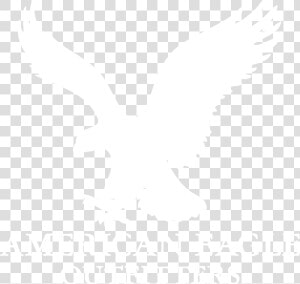 American Eagle Outfitters Logo White  HD Png Download