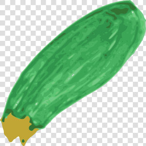 Zucchini Png Images   Clip Art  Transparent Png