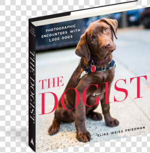 Cover   Dogist Book  HD Png Download