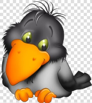 Toucan Cartoon Images Are   Cute Crow Clipart  HD Png Download