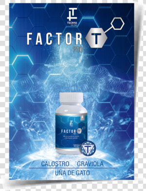 Factor T Teoma  HD Png Download