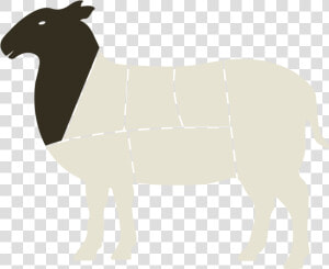 Sheep Horse Cattle Mammal Camel   Horse  HD Png Download