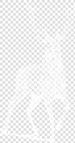 Nova Imagem   Johns Hopkins Logo White  HD Png Download