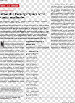 Document  HD Png Download