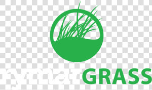 Turf Png  Transparent Png