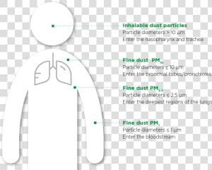 Dust Particles Png  Transparent Png
