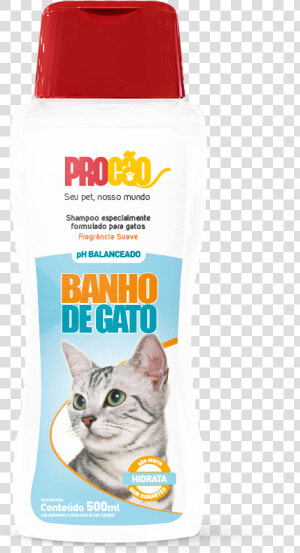 Gatos Png  Transparent Png