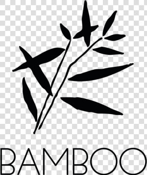 Bamboo Class Lazyload Full Width Image Appear Data   Calligraphy  HD Png Download