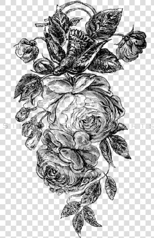 Vintage Flower Png Black And White   Roses Black And White Png  Transparent Png