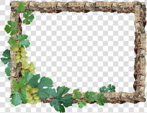 Frame  Border  Rustic  Wood  Grapes   Rustic Border  HD Png Download