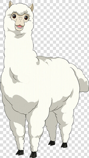Love Live Alpaca Render  HD Png Download