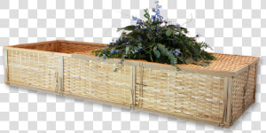 Houseplant  HD Png Download