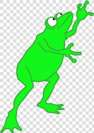 Transparent Frogs Clipart  HD Png Download