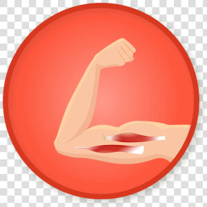 Info Icon  HD Png Download
