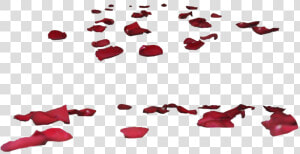 Rose Petals Transparent Images   Transparent Background Rose Petals Png  Png Download