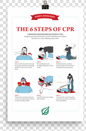 Onion Cpr  HD Png Download