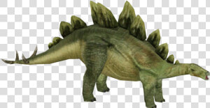 Stego Jpog  HD Png Download