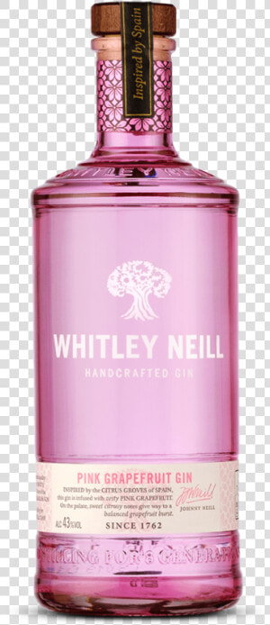 Grapefruit Png  Transparent Png