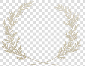 Twig Vector Wreath   Art  HD Png Download
