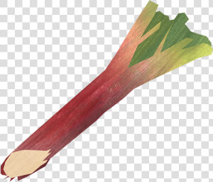Rhubarb Png Pic   Unicorn Grocery  Transparent Png