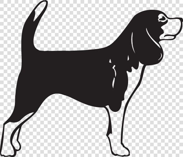 Beagle German Shorthaired Pointer Bullmastiff English   Beagle Clipart Black And White  HD Png DownloadTransparent PNG