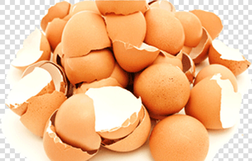 Cascaras De Huevo Png  Transparent PngTransparent PNG