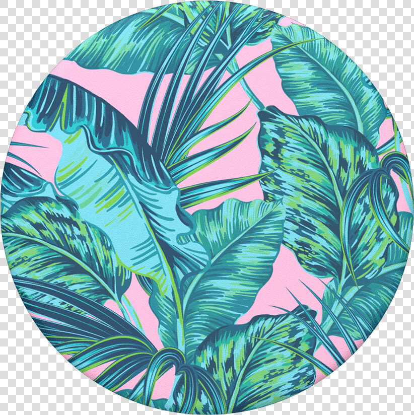 Transparent Rainbow Strip Png   Miami Strip Popsockets  Png DownloadTransparent PNG