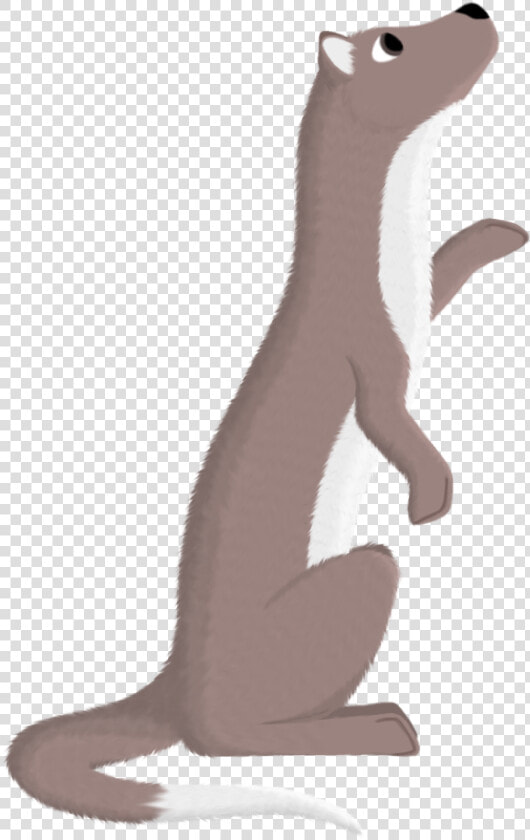 Transparent Weasel Png   Punxsutawney Phil  Png DownloadTransparent PNG
