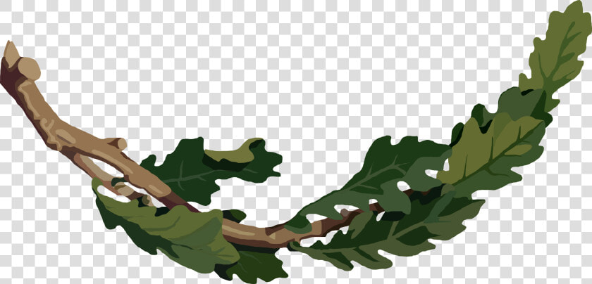 This Free Icons Png Design Of Oak Branch   Oak Tree Branch Clipart  Transparent PngTransparent PNG