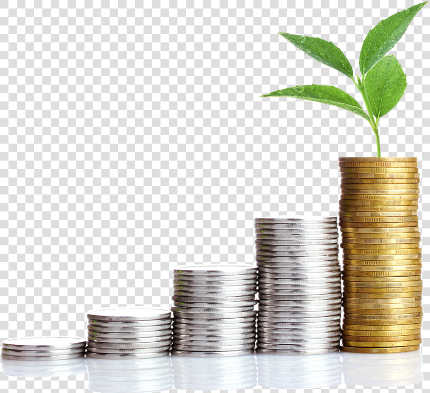 Money Growth Png   Transparent Money Growth Png  Png DownloadTransparent PNG