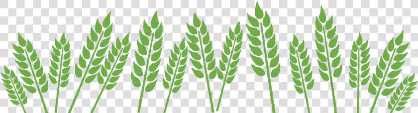 Wheat Field »   Fields Clipart Black And White  HD Png DownloadTransparent PNG