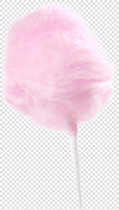 Cotton Candy   Still Life  HD Png DownloadTransparent PNG