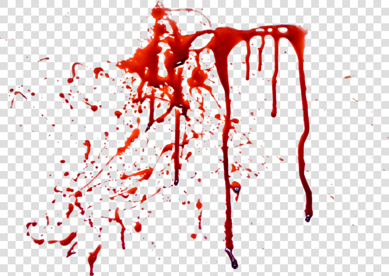 Blood Streaks On A Wall  HD Png DownloadTransparent PNG