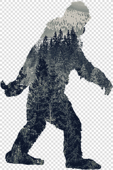 Do You Believe In Bigfoot  HD Png DownloadTransparent PNG