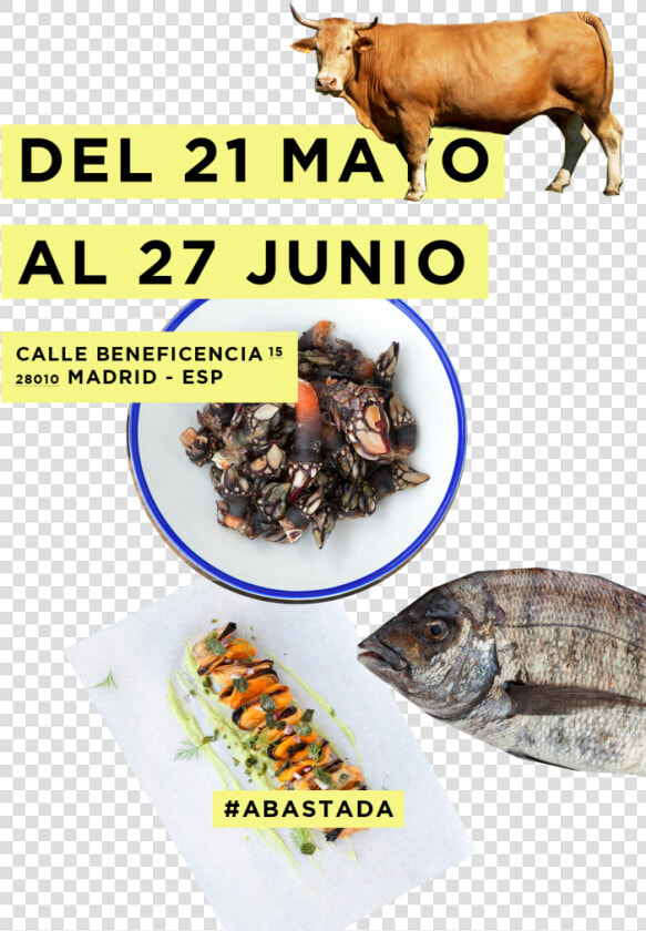 Eating In Madrid   Norah Vincent  HD Png DownloadTransparent PNG