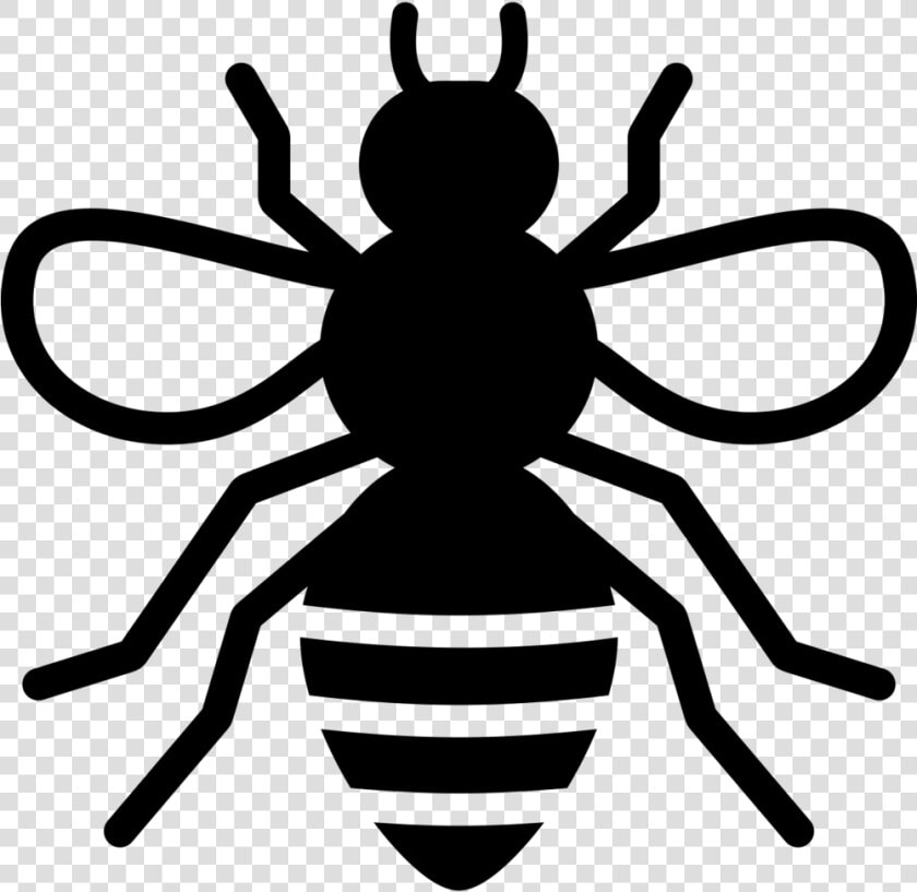 Noun Bee 1975333 000000   Stingless Bee Icon  HD Png DownloadTransparent PNG