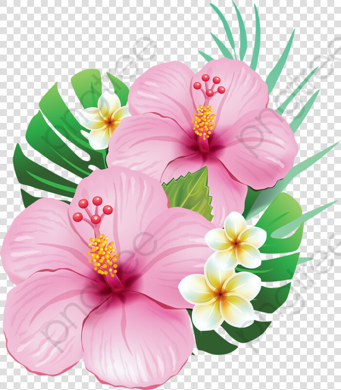 Transparent Hibiscus Clipart Black And White   Flor De Hibisco Png  Png DownloadTransparent PNG