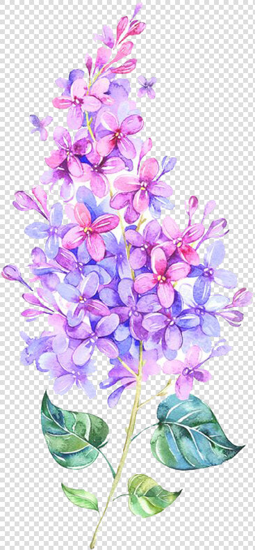  kpopedits  kpop  kawaii  lilac  flower  watercolour   Flower Purple Pink Png  Transparent PngTransparent PNG