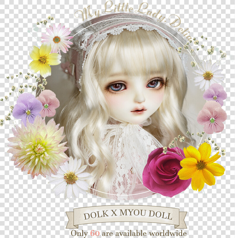 Chrysanths  HD Png DownloadTransparent PNG