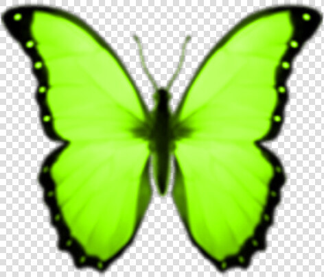  lime  neongreen  green  butterflies  greenbutterfly   Butterfly Emoji Transparent Background  HD Png DownloadTransparent PNG