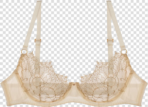 Brassiere  HD Png DownloadTransparent PNG