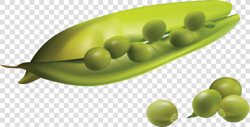 Best Free Pea Png Image Without Background   Realistic Vegetables Png Vector  Transparent PngTransparent PNG